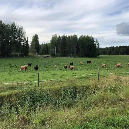 Vintage Atmospheric Log House Kivijärvi