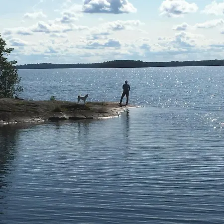 Villa Vintage Atmospheric Log House