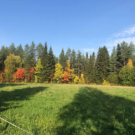 Villa Vintage Atmospheric Log House